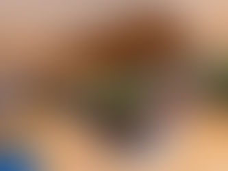 Office members working in a coworking space