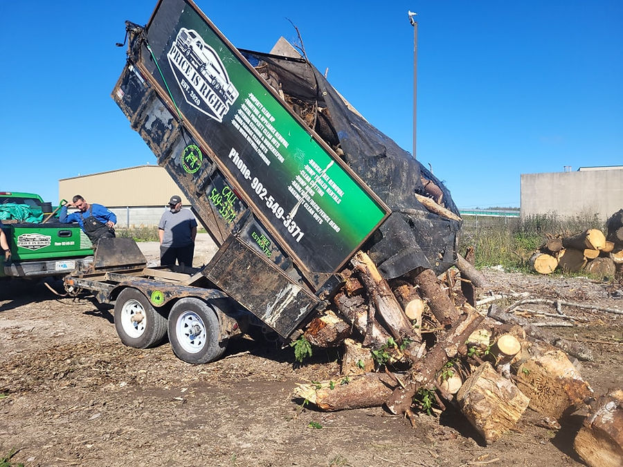 truck 2.jpg