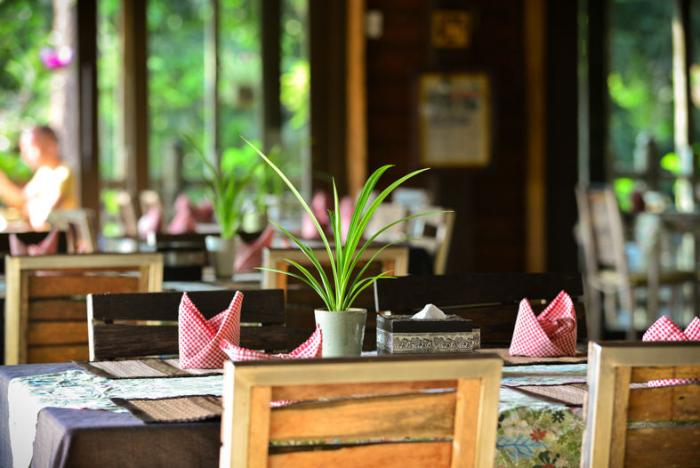 Food _ Yoga Training Thailand