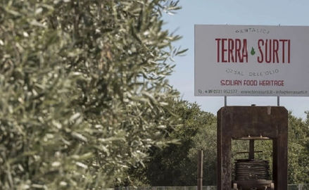 L'Azienda Terra Surti
