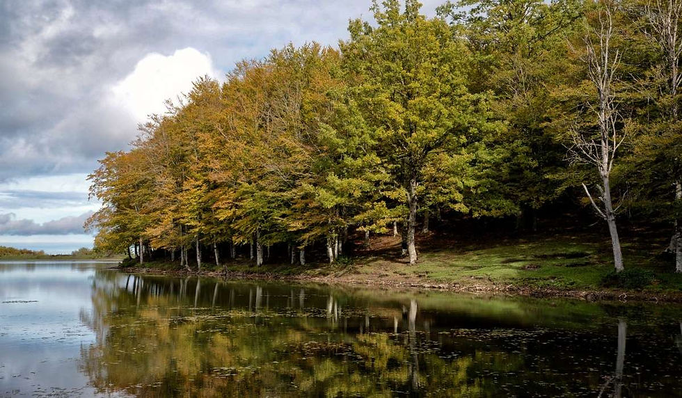 I Nebrodi in Autunno