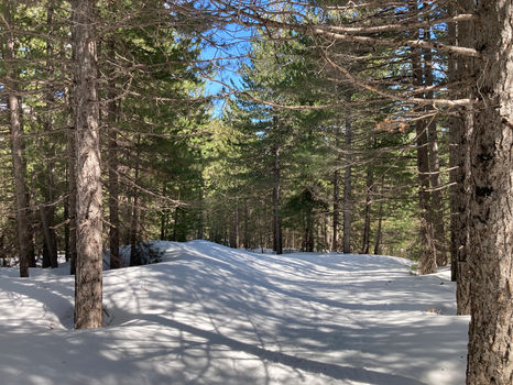 Gita sulla neve Etna