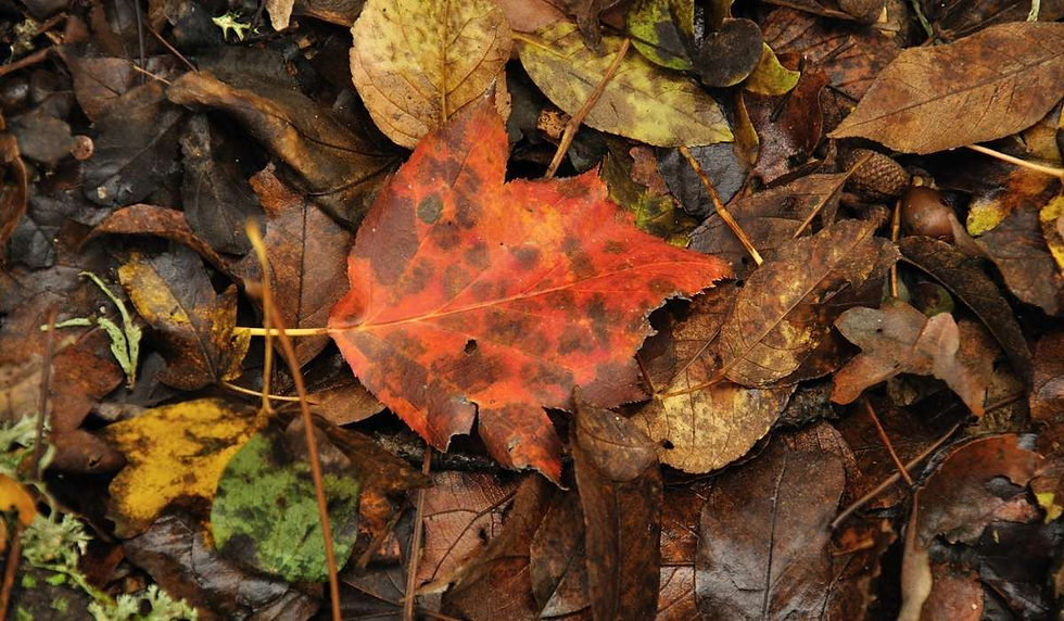 Autunno in Sicilia
