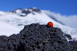 Weekend Etna sulla neve