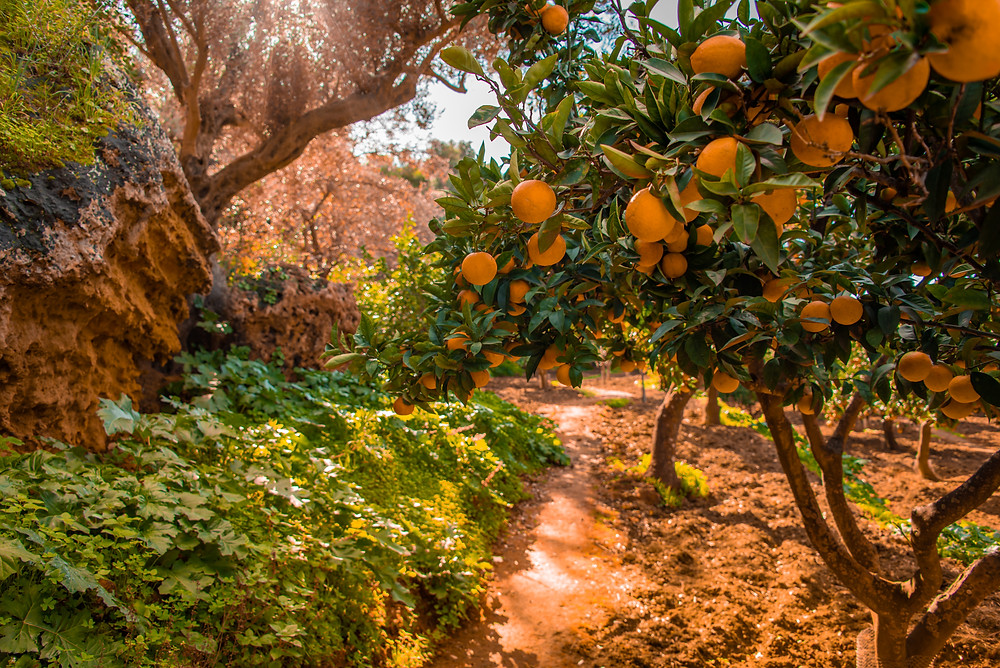 Giardino della Kolymbethra, cosa vedere ad Agrigento