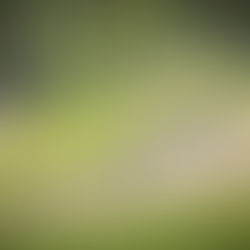 Camboriú no mapa mundial do ciclismo e em destaque para novos investimentos