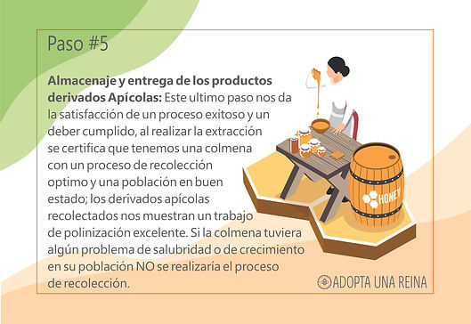 paso5.jpg