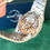 Thumbnail: AUDEMARS PIGUET ROYAL OAK (15500ST) - 2022 NEW FULL SET