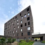 Blues Shadow thin brick showcasing dark, muted coloration and a smooth finish suited for modern residential architecture.