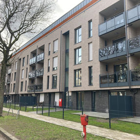 Vesteros Wall, King Klinker America, thin brick