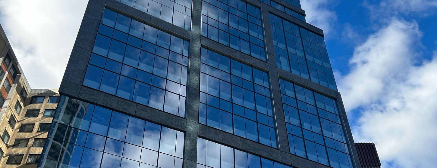 Market Place, Philadephia, King Klinker Thin Brick, Obsidian Shadow, Norman Size