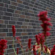 Close-up of Blues Shadow thin brick highlighting textured surfaces, natural tonal movement, and refined edge detailing.