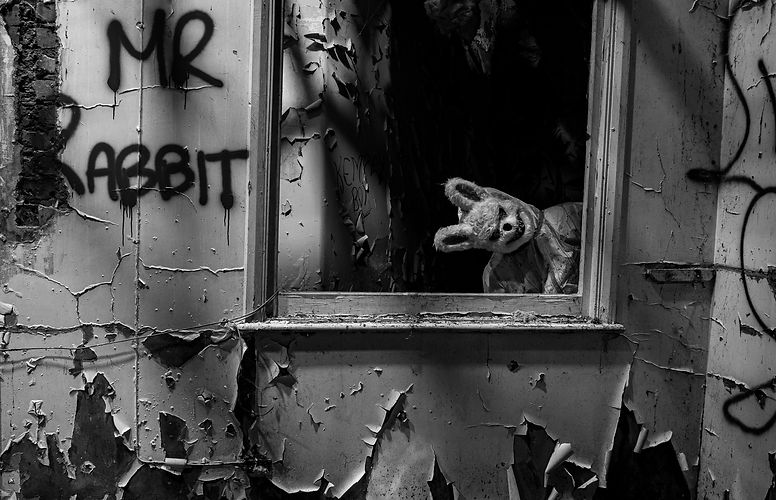 _MG_3360.jpg