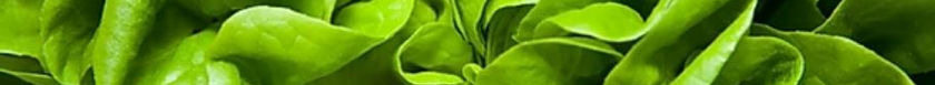 Green leafy.JPG