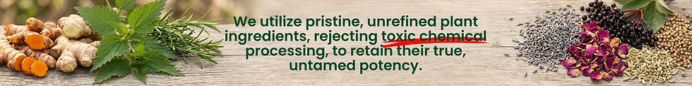 We utilize pristine, unrefined plant
ingredients, rejecting toxic chemical
processing, to retain their true,
untamed potency.