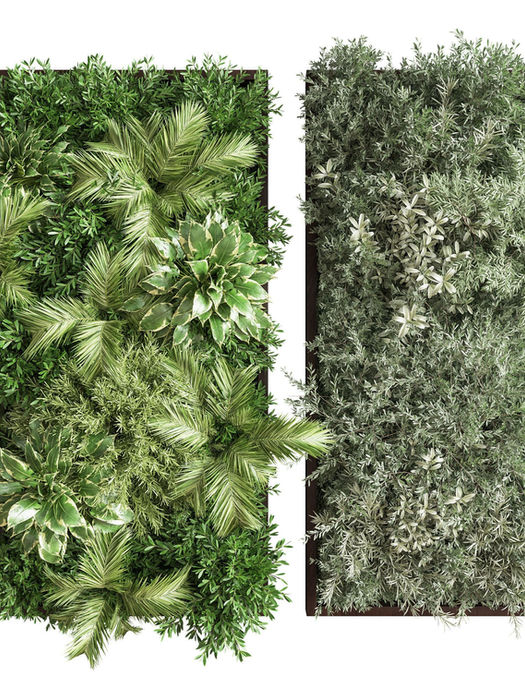 Two vertical gardens with a variety of green plants