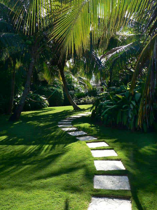Stone pathway through lush green lawn with palm trees
