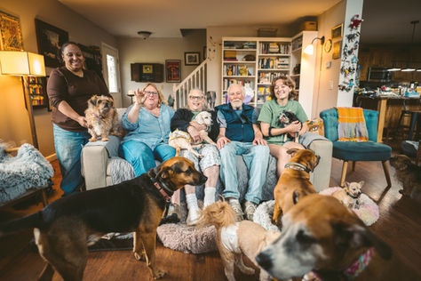 Saving Senior Dogs Week 2025: Standing Together for Seniors