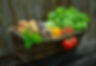 Nutrition by Aster.jpg