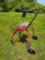20230518_122427 red walker on grass