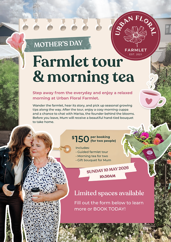 Mothers Day poster 2026.png