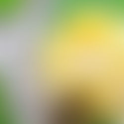 媽媽節。油畫 x 保鮮花