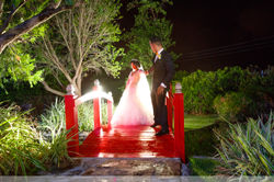 Padial_Weddings_©2019-50