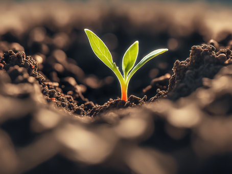 Experience Growth and Development with Bee-U-tiful Life Coaching