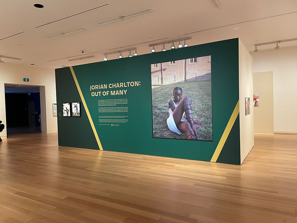 Wide shot of the Jorian Charlton: Out of Many Title Wall at the Art Gallery of Ontario