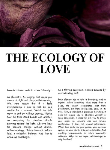 02 news letter (1).jpg