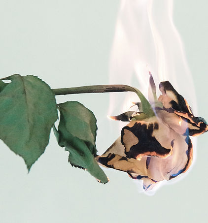 11062b_32f9c5f5957e4f81a305fde9c3d08148~