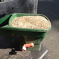 grass seed in spreader