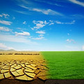 aquasmart absorption sand reduce watering_edited.jpg