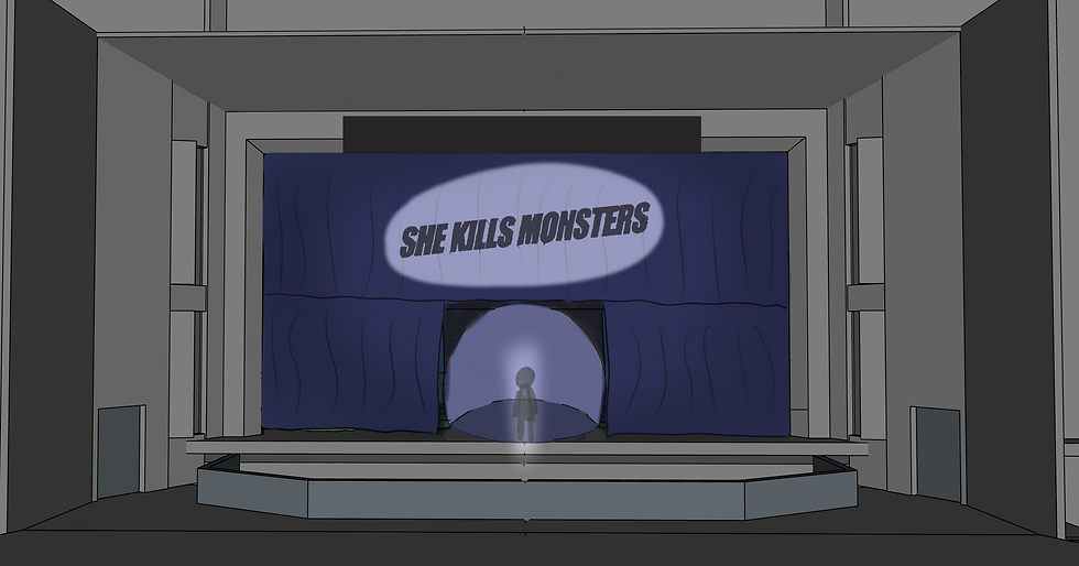 Beginning of the show