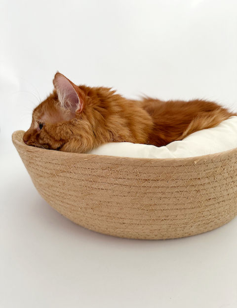 Thumbnail: Basket bed with cushion