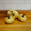 Thumbnail: Velvet Pumpkin - Gold