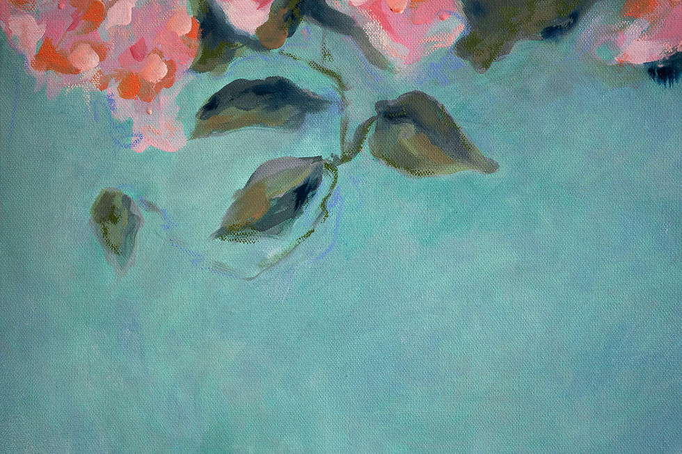 Thumbnail: Bougainvillea