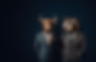 BullBearBackground2.jpg