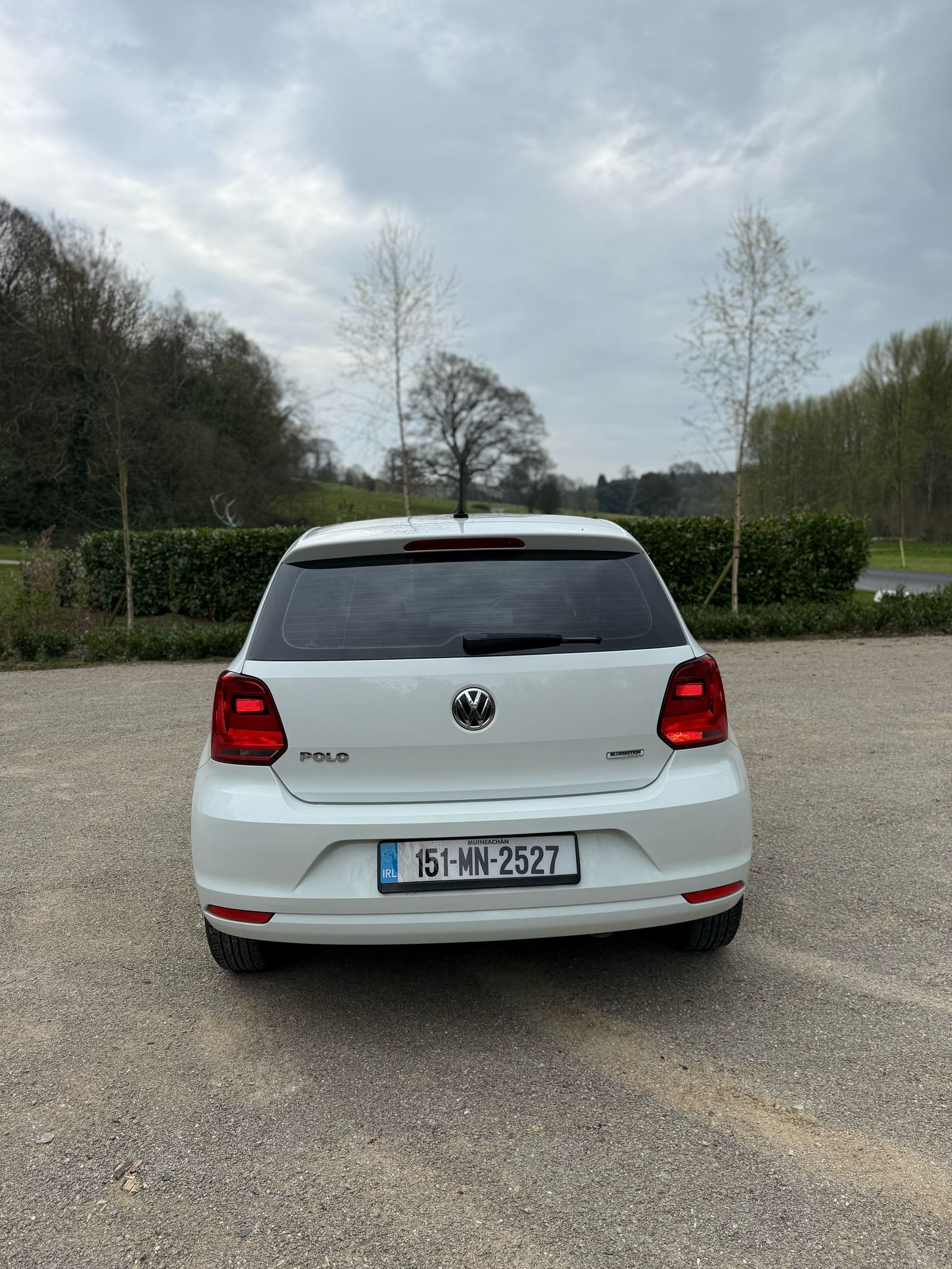 Volkswagen Polo Bluemotion gallery image 5