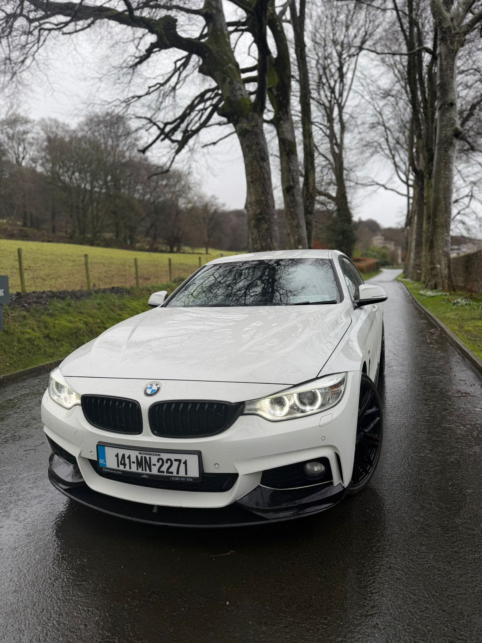 BMW 420d M Sport xDrive Auto gallery image 2