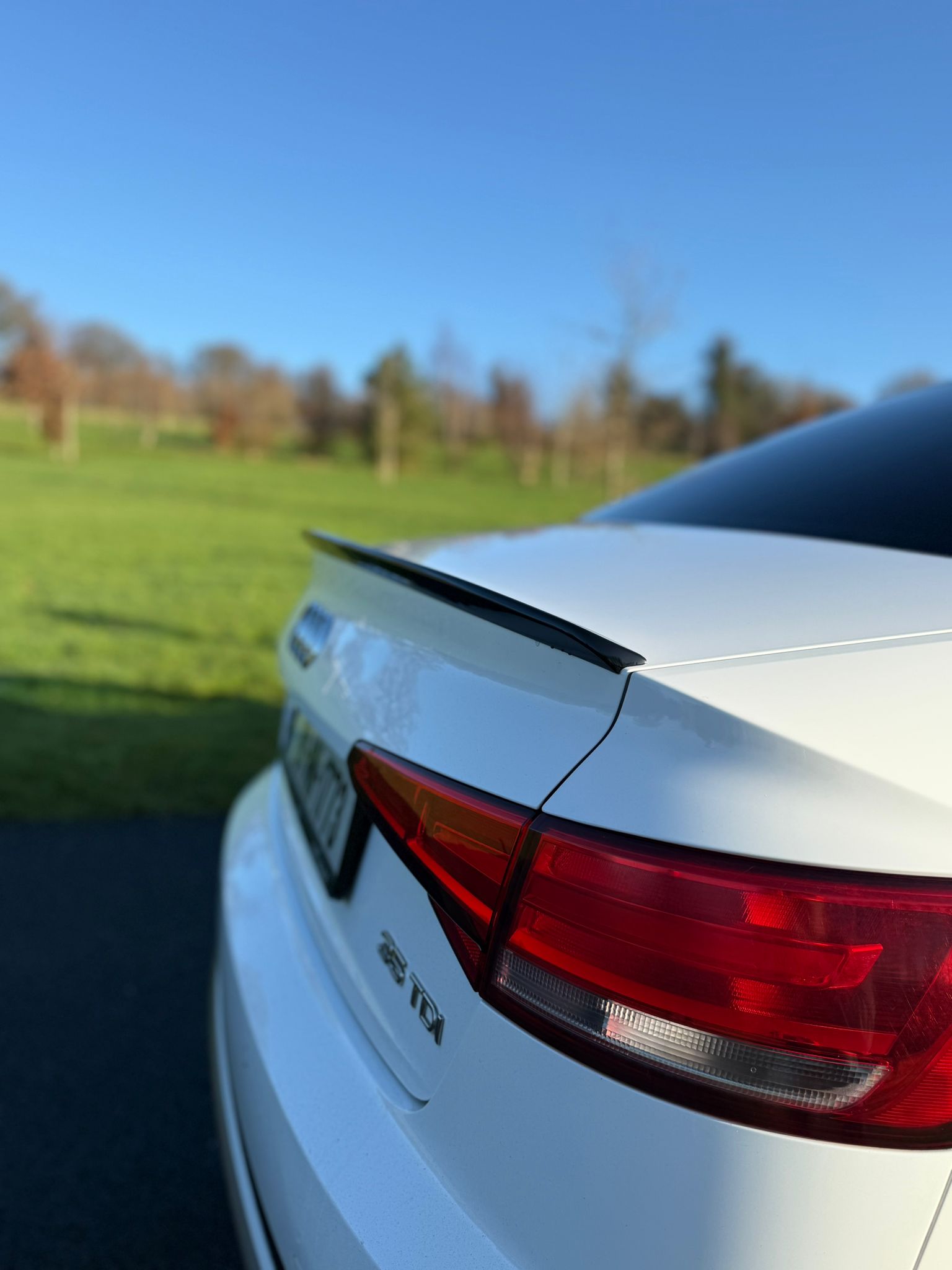 Audi A4 2.0 TDI Auto gallery image 8