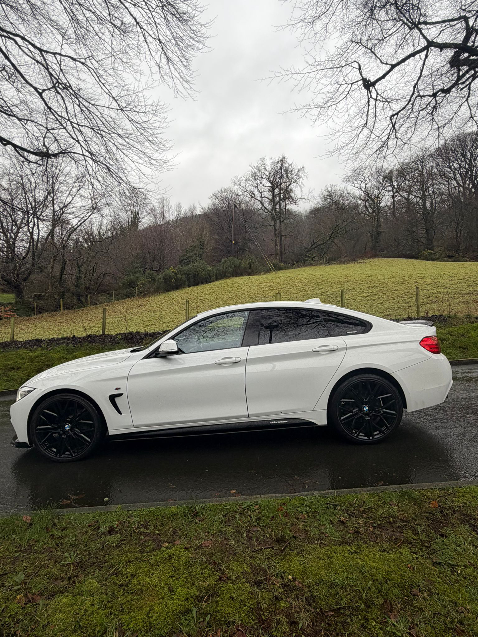 BMW 420d M Sport xDrive Auto gallery image 8