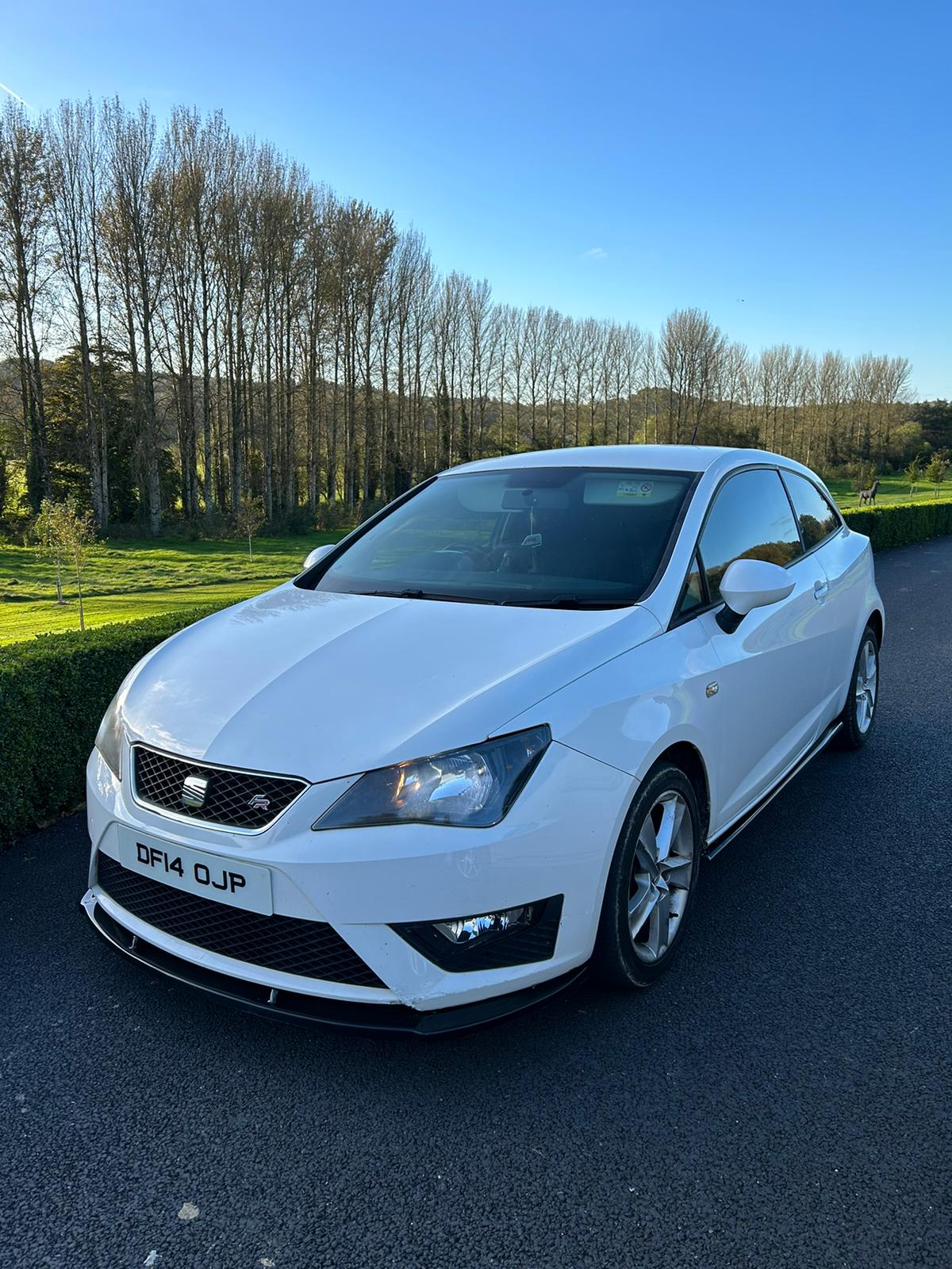 SEAT Ibiza FR gallery image 7