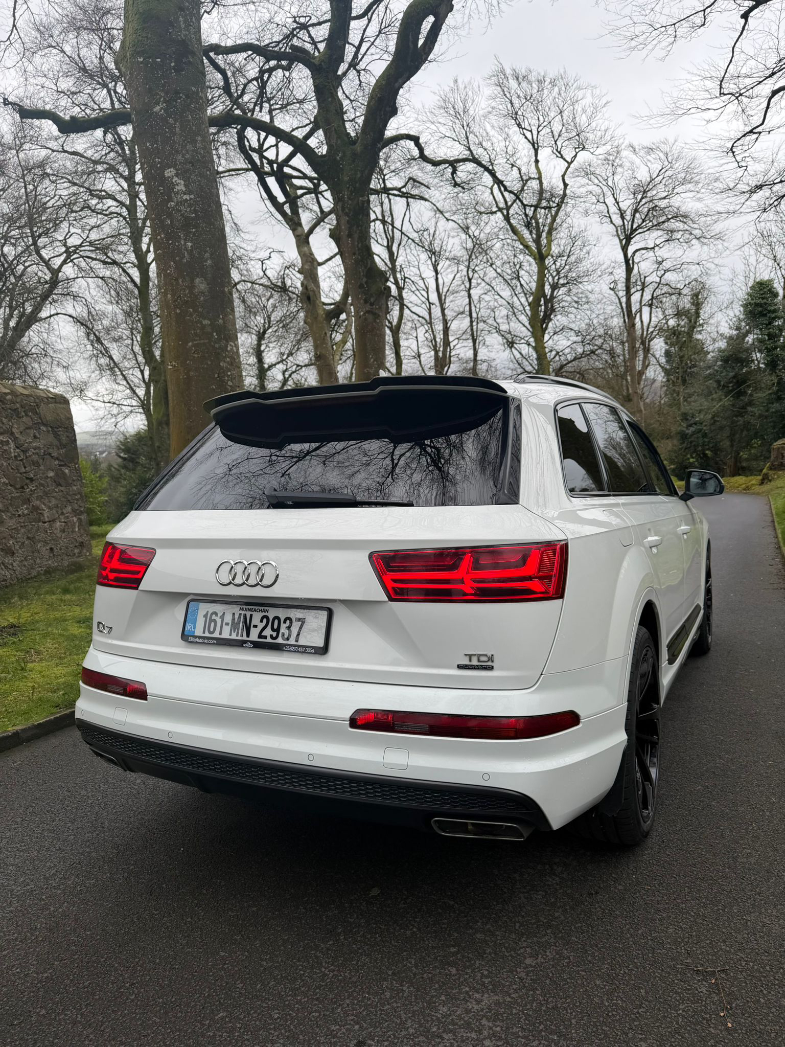 Audi Q7 S Line Quattro 3.0 TDI M gallery image 10