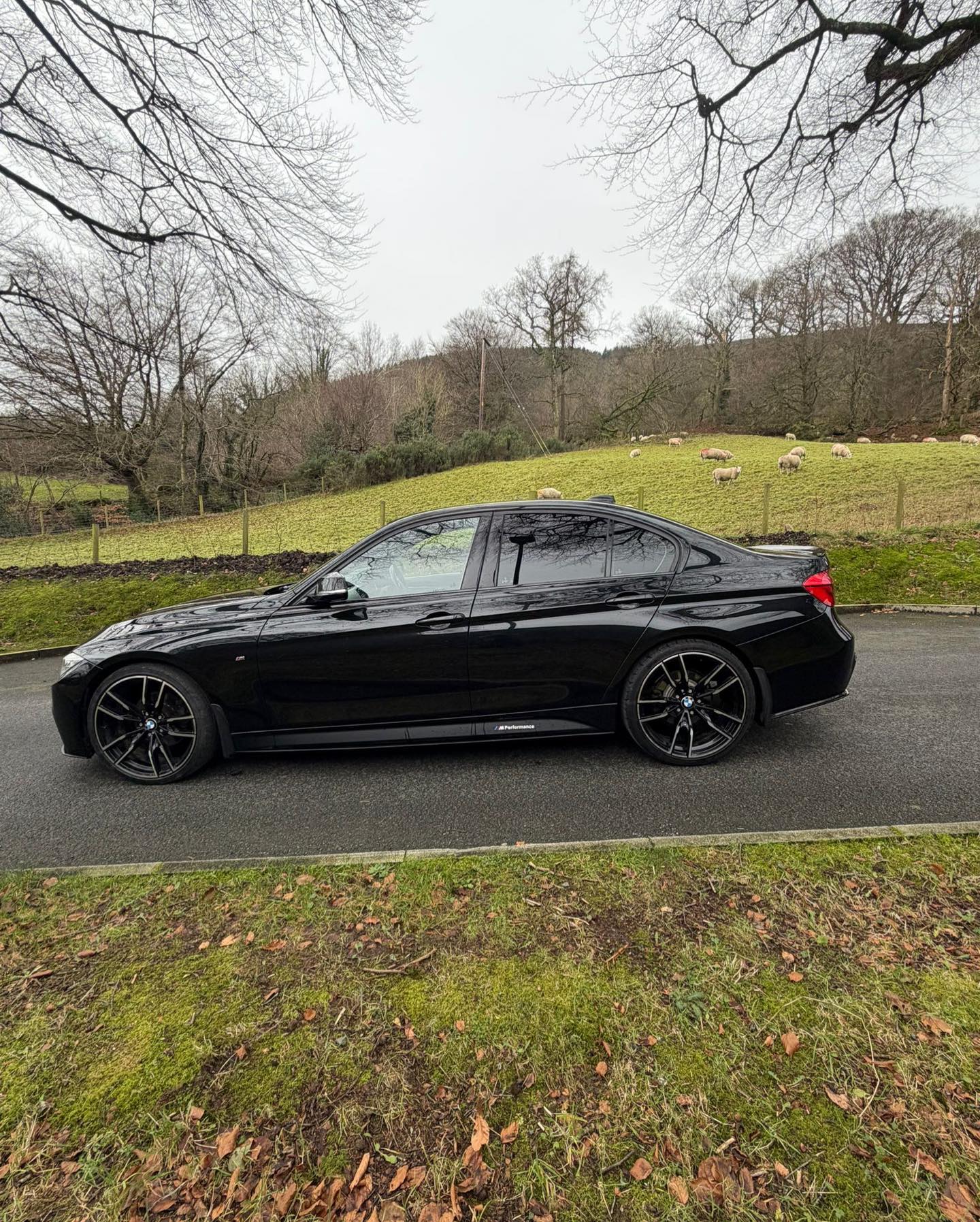 BMW 320d M Sport Auto gallery image 6