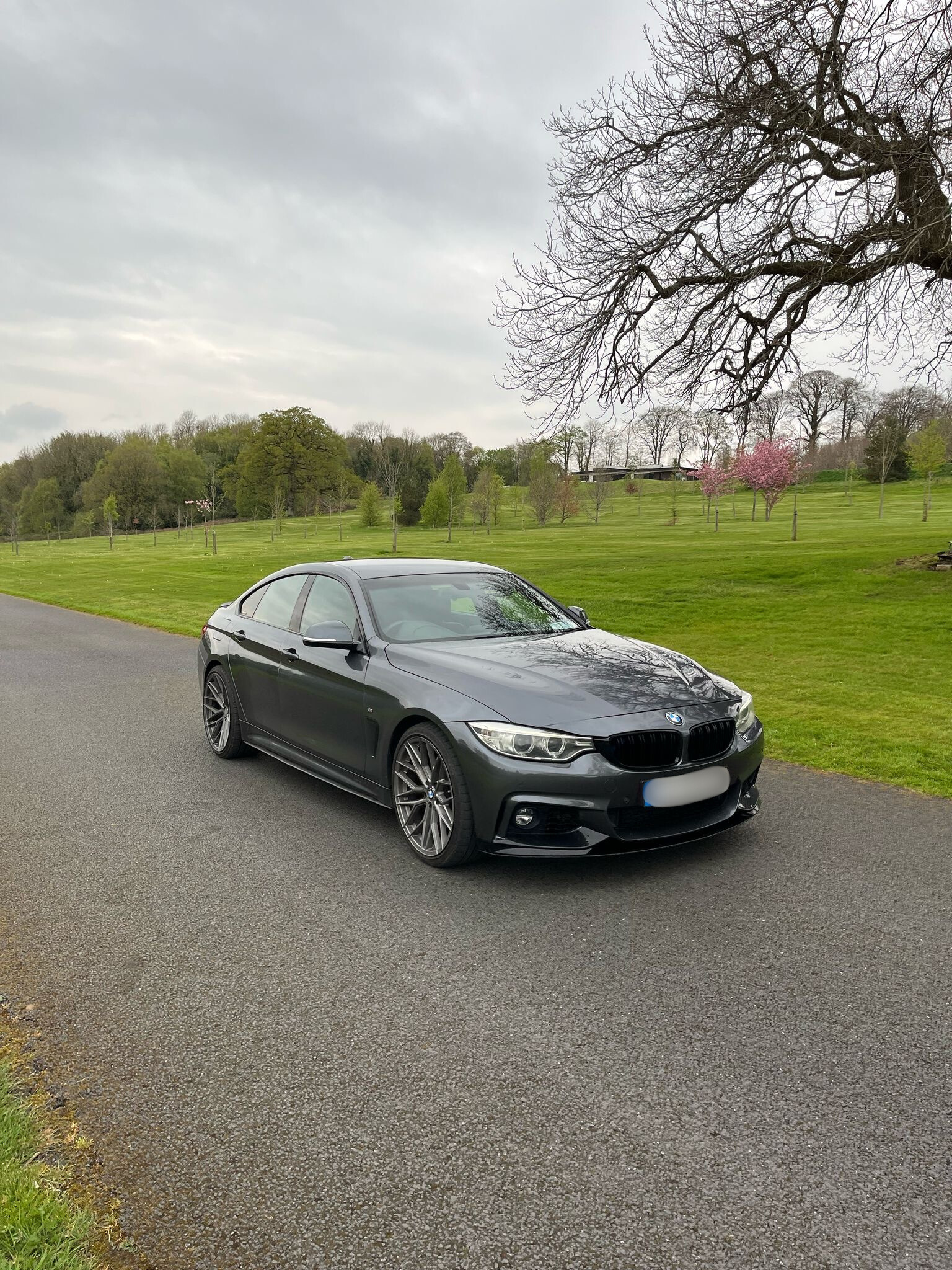 BMW 4 Series M Sport Auto gallery image 5