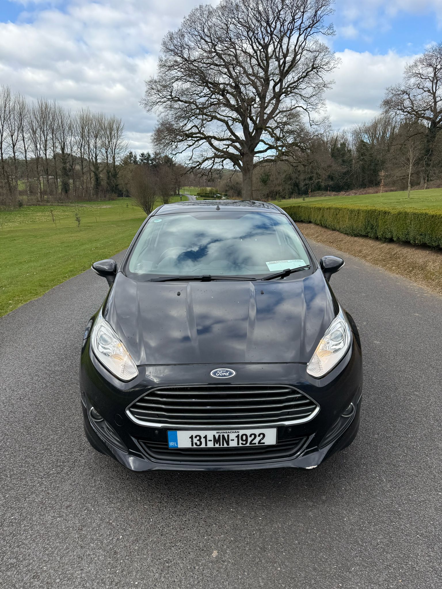 Ford Fiesta EcoBoost gallery image 2