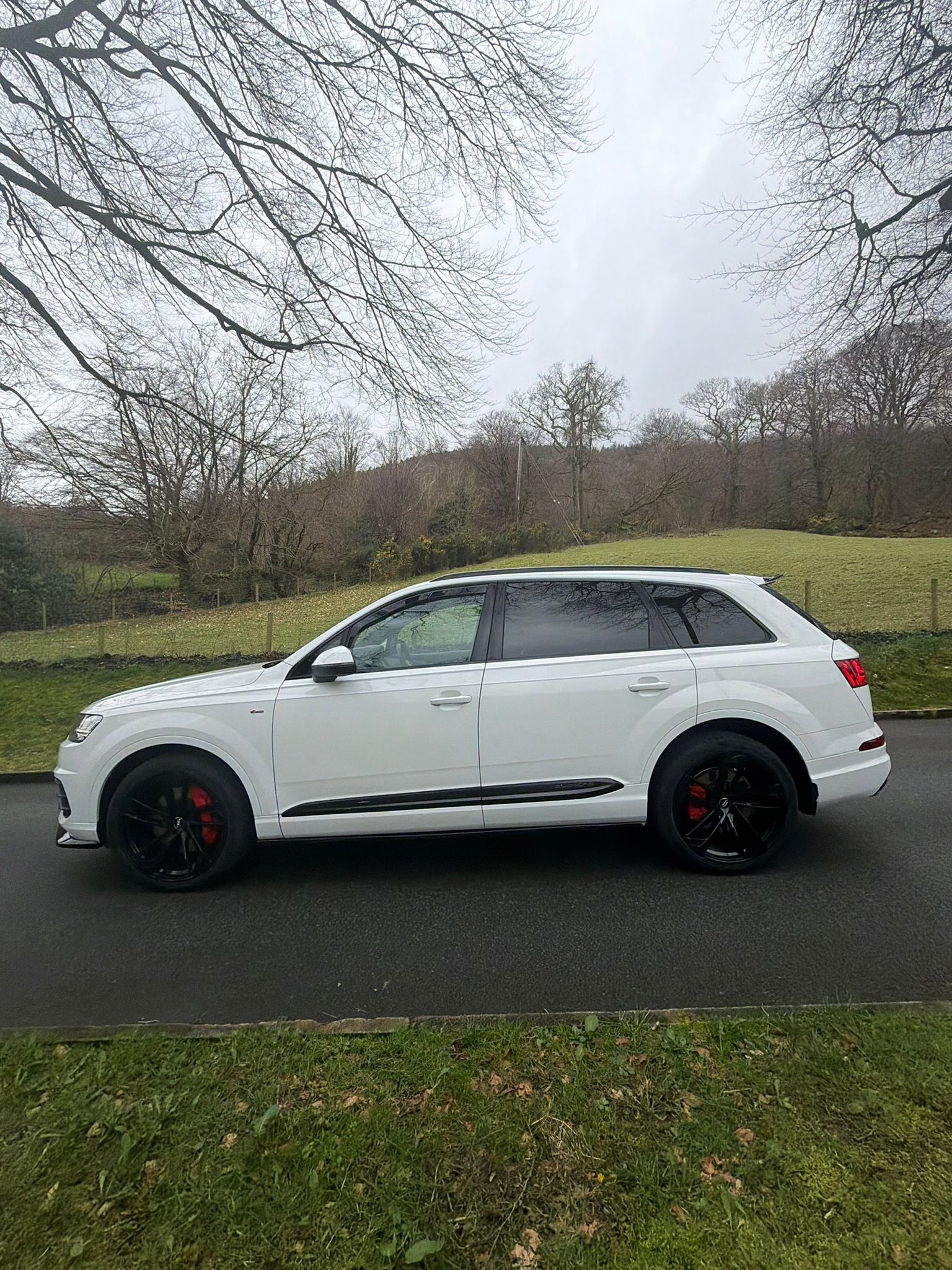 Audi Q7 S Line Quattro 3.0 TDI M gallery image 2