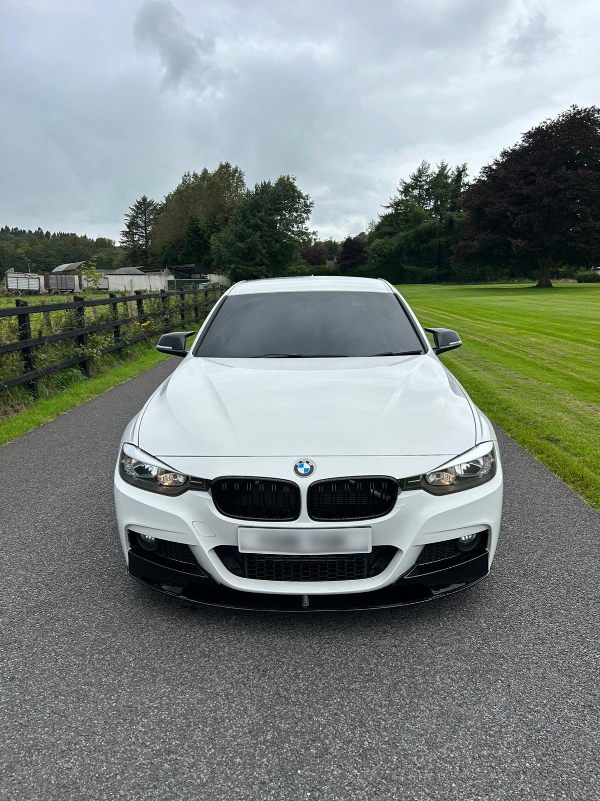 BMW 3 SERIES Sport M Performance Auto gallery image 4