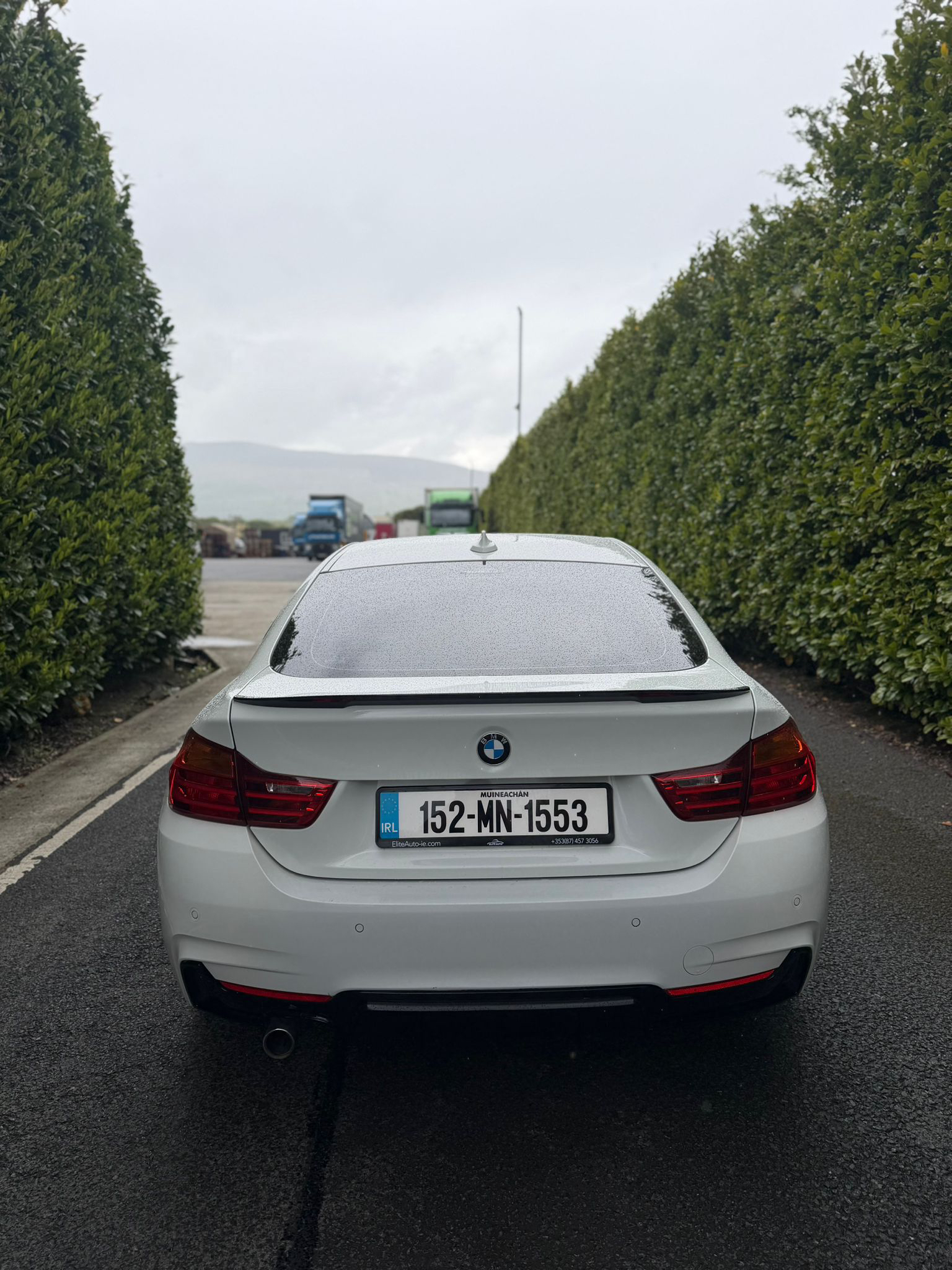 BMW 4 Series M Sport Auto gallery image 6